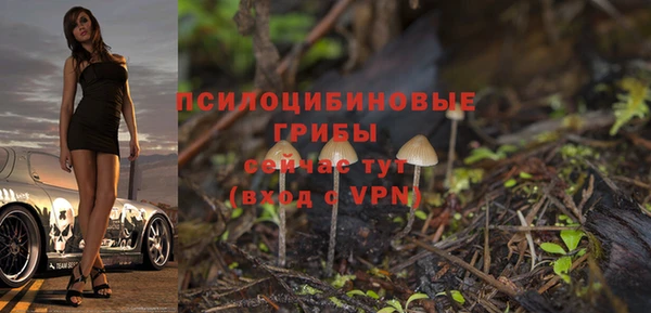 альфа пвп Красноперекопск